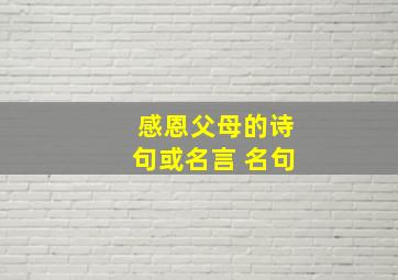 感恩父母的诗句或名言 名句